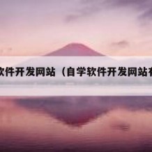 自学软件开发网站（自学软件开发网站有哪些）