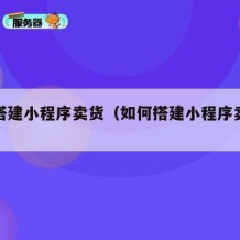 如何搭建小程序卖货（如何搭建小程序卖货模式）