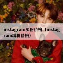 instagram买粉价格（instagram增粉价格）