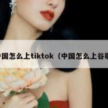 中国怎么上tiktok（中国怎么上谷歌）