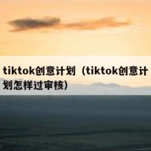 tiktok创意计划（tiktok创意计划怎样过审核）