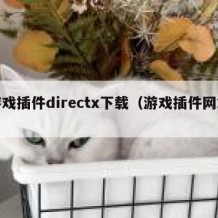 游戏插件directx下载（游戏插件网站）