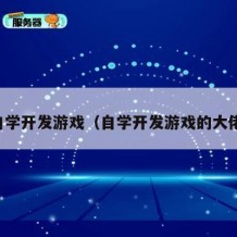 自学开发游戏（自学开发游戏的大佬）