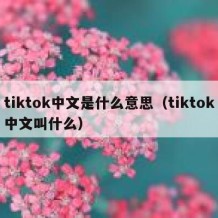 tiktok中文是什么意思（tiktok中文叫什么）