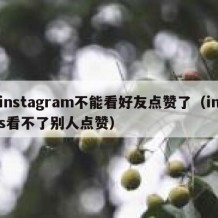 instagram不能看好友点赞了（ins看不了别人点赞）