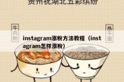 instagram涨粉方法教程（instagram怎样涨粉）