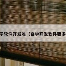 自学软件开发难（自学开发软件要多久）