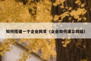如何搭建一个企业网页（企业如何建立网站）