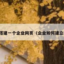 如何搭建一个企业网页（企业如何建立网站）