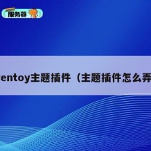 ventoy主题插件（主题插件怎么弄）