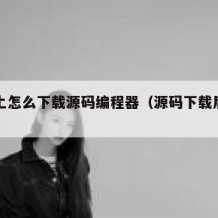 电脑上怎么下载源码编程器（源码下载后怎么用）
