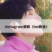Instagram清粉（ins粉丝）