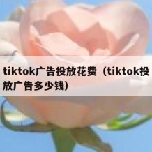 tiktok广告投放花费（tiktok投放广告多少钱）