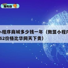 微盟小程序商城多少钱一年（微盟小程序收费标准t62价格比华网天下贵）