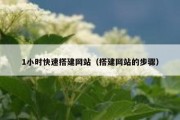 1小时快速搭建网站（搭建网站的步骤）