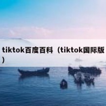 tiktok百度百科（tiktok国际版）