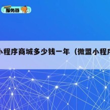 微盟小程序商城多少钱一年（微盟小程序代理政策）
