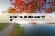 缅甸tiktok（缅甸tiktok如何选择）