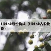 tiktok股份构成（tiktok占股比例）