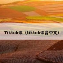 Tiktok读（tiktok读音中文）