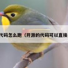 开源代码怎么跑（开源的代码可以直接用吗）