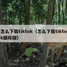 怎么下载tiktok（怎么下载tiktok国际版）