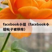 facebook小组（facebook小组帖子被移除）