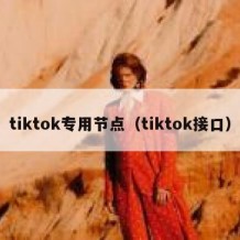 tiktok专用节点（tiktok接口）