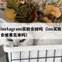 instagram买粉会掉吗（ins买粉会被看出来吗）