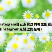 instagram自己点赞过的哪里能看到（instagram点赞过的在哪）