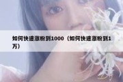 如何快速涨粉到1000（如何快速涨粉到1万）