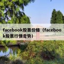 facebook股票价格（facebook股票行情走势）