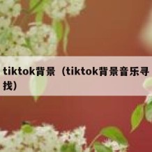 tiktok背景（tiktok背景音乐寻找）