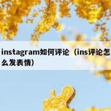 instagram如何评论（ins评论怎么发表情）