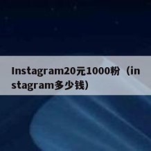 Instagram20元1000粉（instagram多少钱）