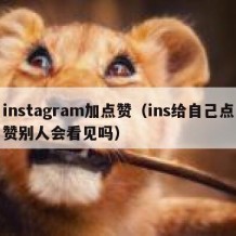 instagram加点赞（ins给自己点赞别人会看见吗）