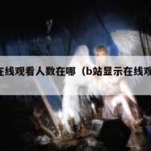 b站在线观看人数在哪（b站显示在线观看人数）