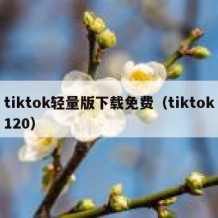 tiktok轻量版下载免费（tiktok120）