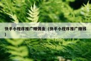 快手小程序推广赚佣金（快手小程序推广赚钱）