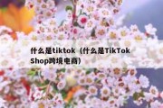 什么是tiktok（什么是TikTok Shop跨境电商）