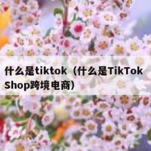 什么是tiktok（什么是TikTok Shop跨境电商）