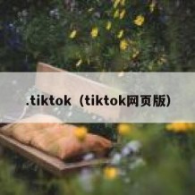 .tiktok（tiktok网页版）