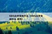 tiktok中文叫什么（tiktok中文叫什么 软件）