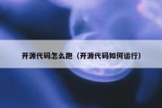 开源代码怎么跑（开源代码如何运行）