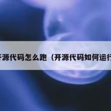 开源代码怎么跑（开源代码如何运行）