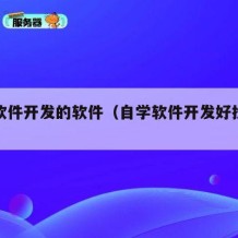 自学软件开发的软件（自学软件开发好找工作吗）