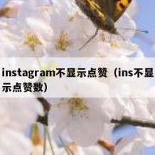 instagram不显示点赞（ins不显示点赞数）