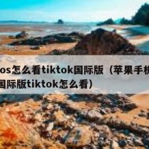 ios怎么看tiktok国际版（苹果手机国际版tiktok怎么看）