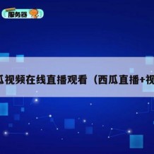 西瓜视频在线直播观看（西瓜直播+视频）