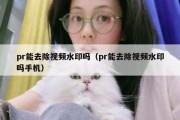 pr能去除视频水印吗（pr能去除视频水印吗手机）